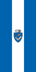 ROU MS Targu Mures Flag